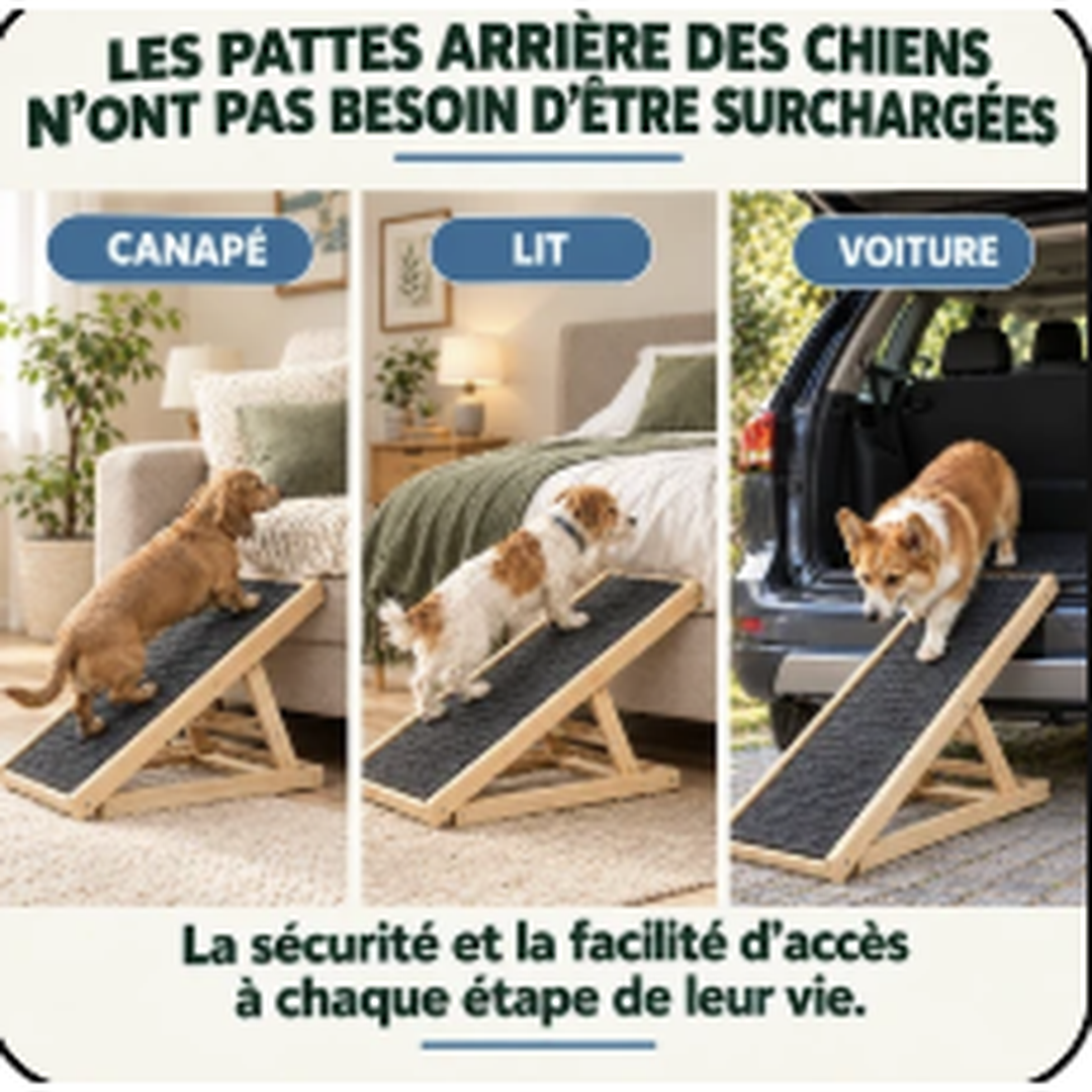 Rampe Anti-Hernie pour Chiens